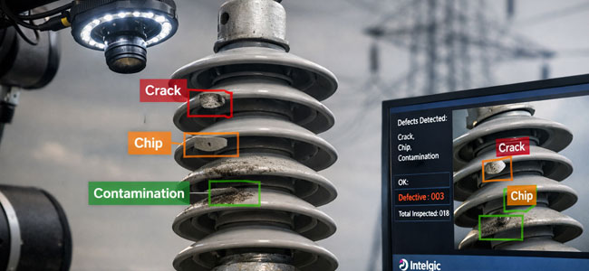 Automated Insulator Inspection