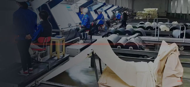 Fabric Inspection